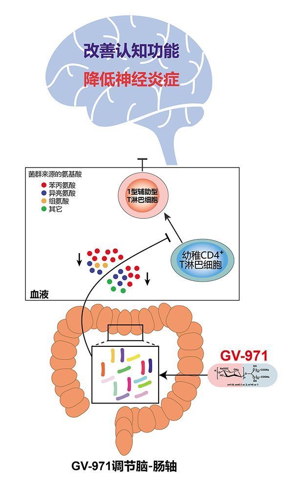 中国阿尔茨海默病新药争议:别高兴太早,也别忙着质疑