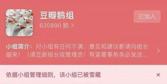 好人阿北,和拧巴的豆瓣