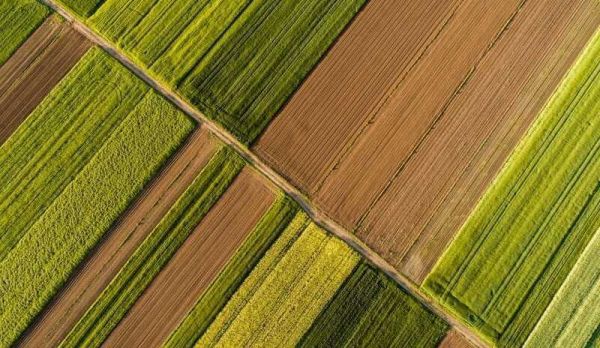 利用AI实时预测气候变化对民生的影响,英国商业气象平台「Cervest」获370万英镑种子轮投资