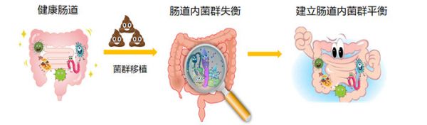 专注肠道微生态治疗及药物研发,「承葛生物」获得数千万元天使轮和PreA融资