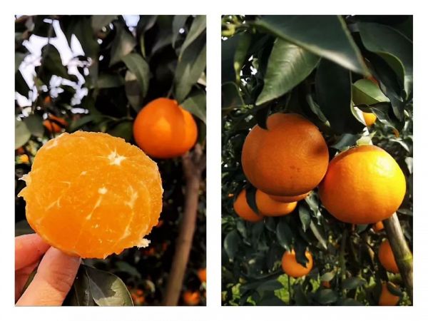 9块9,到底赚不赚钱?