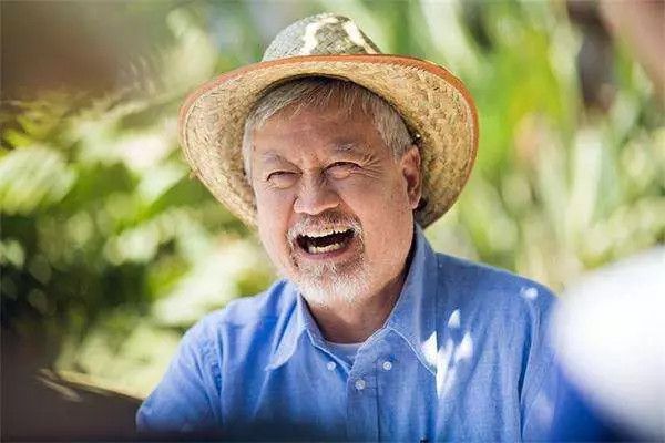 个人IP化泛滥,机构投资人做平台,还是做明星?