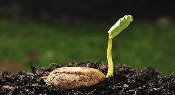 投资机构出手越来越谨慎，这家初创企业是如何融到300万美元天使融资的？