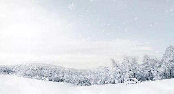 支付“冬眠”:利润只剩10%,只求活着,卖牌照变现