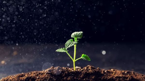 支付“冬眠”:利润只剩10%,只求活着,卖牌照变现