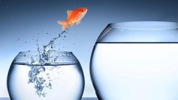 创始人与CEO的四大不同:前者孕育生命,后者抚养成人