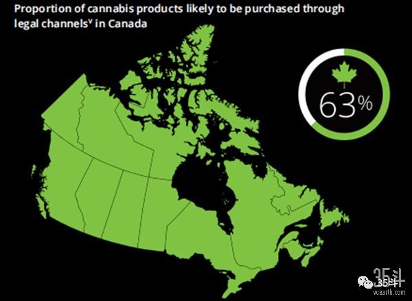 大麻：一个迅速成熟的产业