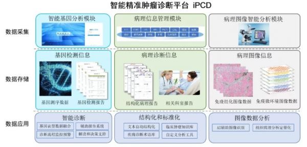 专注肿瘤病理诊断领域,「志诺维思」宣布获得六千万元 B 轮融资