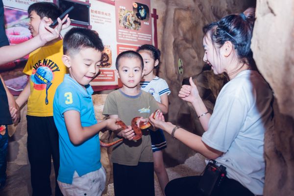 36氪首发 |「Mr Zoo 小小动物元」完成A及A+轮融资，累计融资金额近亿元