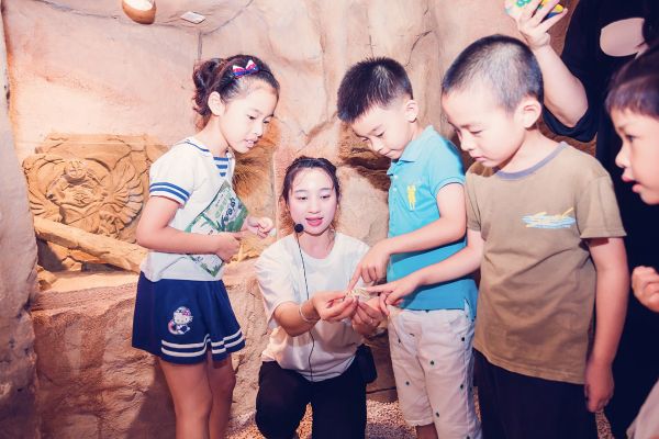 36氪首发 |「Mr Zoo 小小动物元」完成A及A+轮融资，累计融资金额近亿元