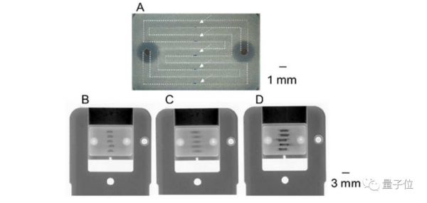 1滴血，2小时，验13种癌症，精度99%！日本东芝新技术引热议