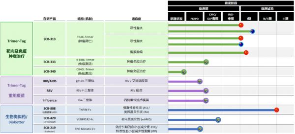 重点聚焦肿瘤和自身免疫性疾病治疗,「三叶草生物」获3.04亿元B轮融资