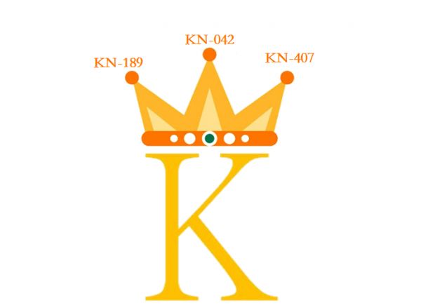 一周要闻：2019 医保新目录公布，新增药品“平民价”平均降六成 | 36氪医疗