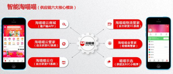 传统快消流通渠道难以取代,「淘喵喵」帮助三四线城市经销商转型升级