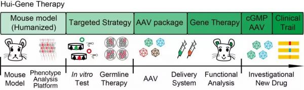 用基因编辑治疗人类罕见遗传病，「辉大基因」获得逾亿元A轮融资