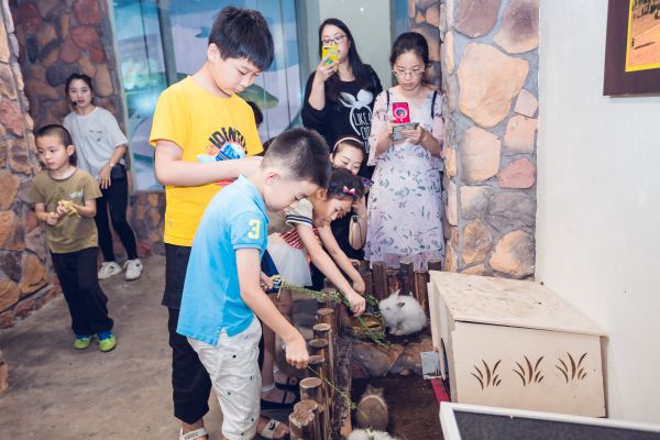 到社区商场开动物园,「小小动物元」为什么能一年完成5轮融资?| 36氪未来智库·超级项目