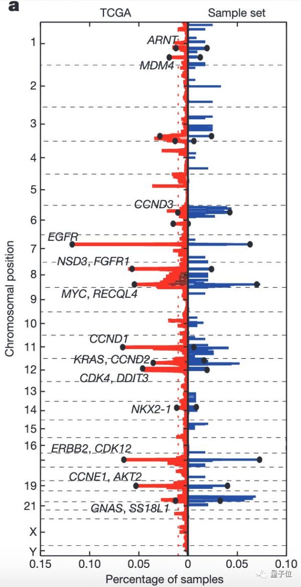 Nature:最强癌基因找到了,居然不在染色体上