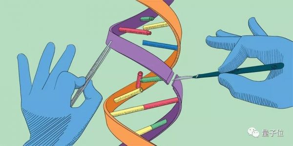 贺建奎论文手稿意外曝光：HIV抗性未被验证，且造成意外突变