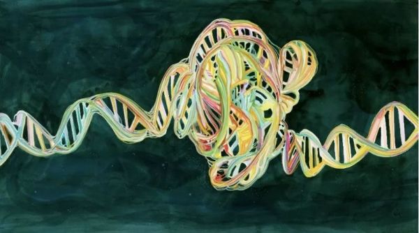 贺建奎手稿曝光:从“基因编辑婴儿”到“完美人类”还有多远?