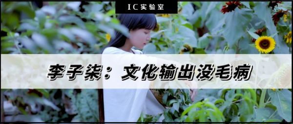 Youtube上700万粉的李子柒，文化输出得罪了谁？