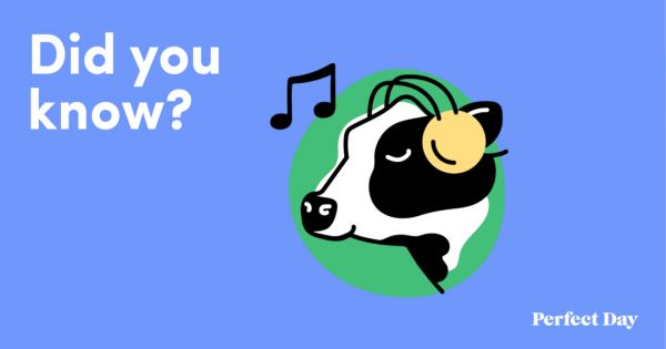 奶牛失业了？人造奶Perfect Day获近10亿融资，李嘉诚都尝过