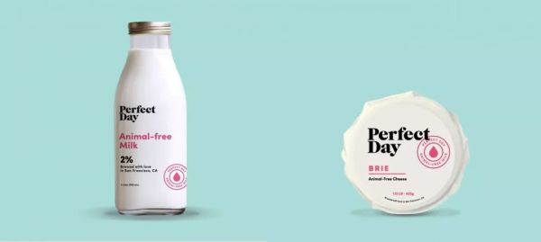 奶牛失业了？人造奶Perfect Day获近10亿融资，李嘉诚都尝过