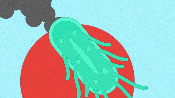 科学家改造出“吃二氧化碳”的细菌，或能减轻温室效应