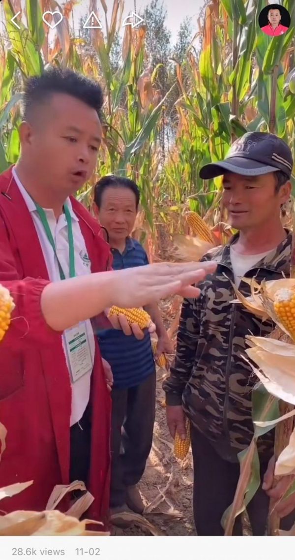 我在快手抖音B站学知识:看别人复习,给局座打钱