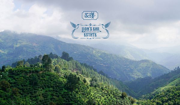 重供应链,「永璞咖啡」用品牌联名打开年轻人咖啡消费市场