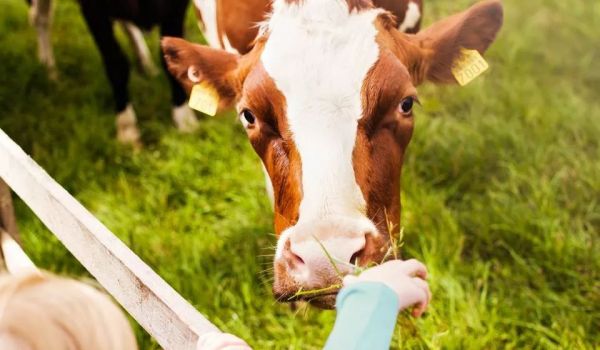 2019年《利乐指数》:全球六大消费人群,暗藏着哪些新商机?