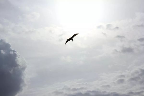 2019很艰难,2020更艰难?