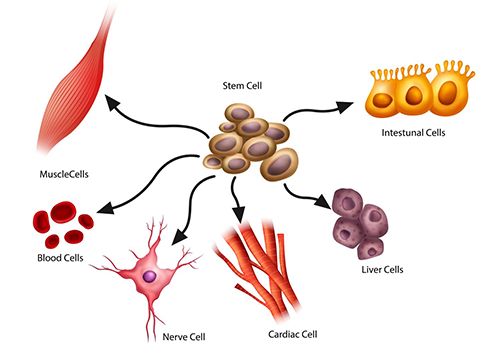 泡在培养皿中的人造大脑，居然偷偷向外界发出脑电波