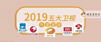 复盘2019：五大卫视剧综大起底，最后的繁华和落寞