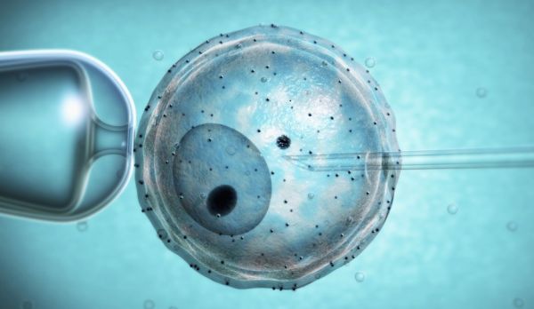 观察+ | “生不动”的年轻人,跑去冻卵了