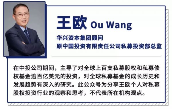 2020,中国私募股权投资的浴火重生之年?