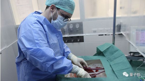 肝脏离开人体还能活7天！这是最新技术突破，其间还可以修复损伤