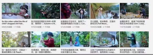 你知道什么是“网红4.0”吗?揭秘李子柒爆红的商业逻辑