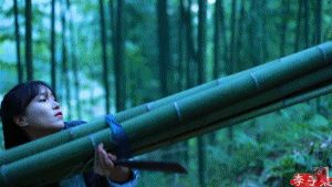 你知道什么是“网红4.0”吗?揭秘李子柒爆红的商业逻辑