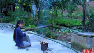 你知道什么是“网红4.0”吗?揭秘李子柒爆红的商业逻辑