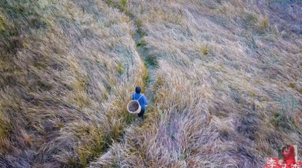 你知道什么是“网红4.0”吗?揭秘李子柒爆红的商业逻辑