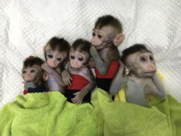 潮科技 | 2019年「中科院」科技创新、成果转移转化亮点总结