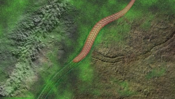 潮科技 | 2019年「中科院」科技创新、成果转移转化亮点总结