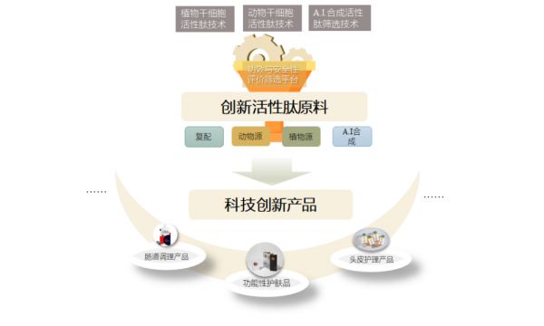 36氪首发 | 瞄准千亿级活性肽市场,「启迪禾美」获2700万元A轮融资,人保启迪基金领投