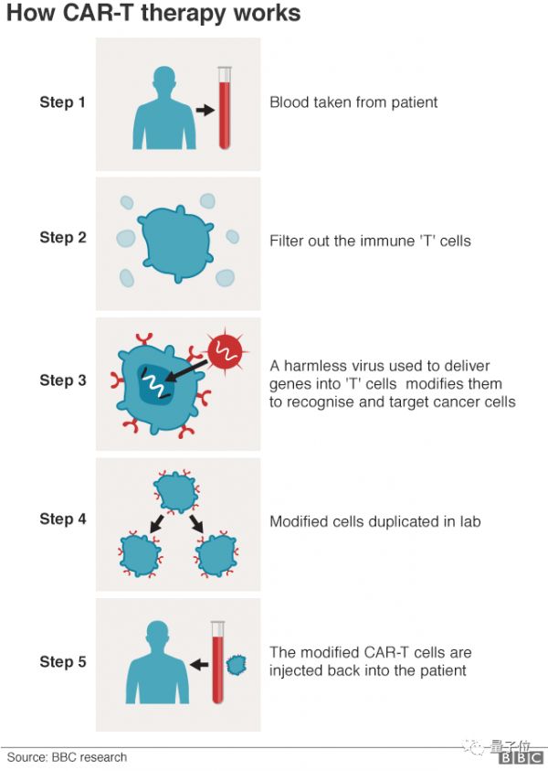 新发现的免疫细胞,可治疗现有多种癌症还不掉头发,最早11月进行人体试验