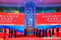 “培养“一个云计算上市公司需要多少钱？