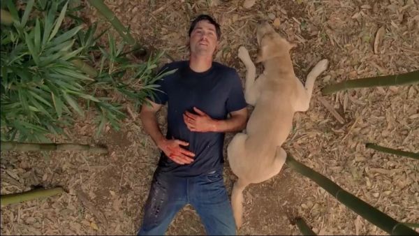 冯仑：信任意味着给予，买单，扛事，承担责任