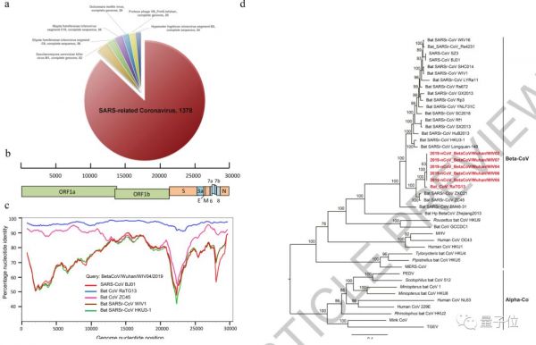 Nature首次、连发2篇新冠病毒论文:确认病毒进入细胞路径