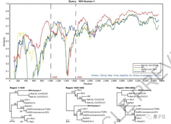 Nature首次、连发2篇新冠病毒论文:确认病毒进入细胞路径