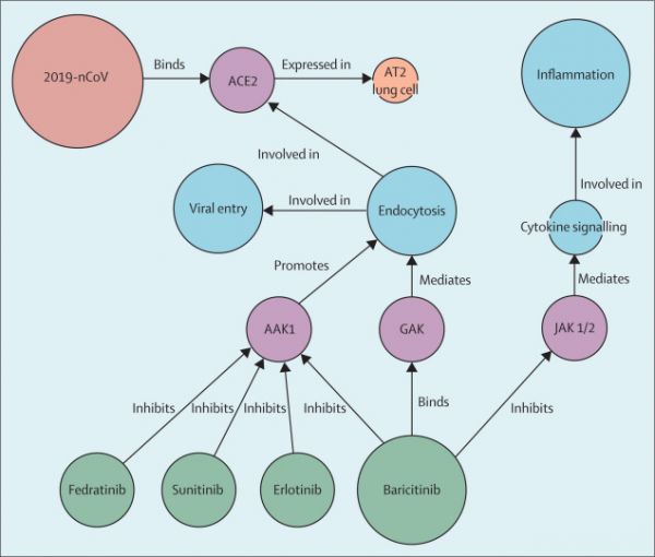 AI帮助检索新冠肺炎对症药,研究发现“巴瑞替尼”存在治疗潜力