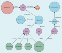 AI帮助检索新冠肺炎对症药，研究发现“巴瑞替尼”存在治疗潜力